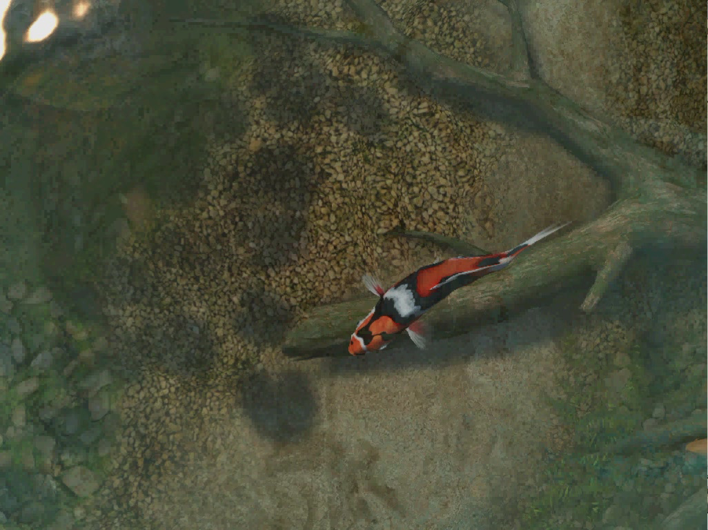 Download free Koi Fish 3D Screensaver backupschool